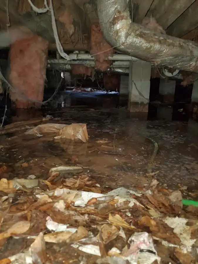 Crawl space flood assessment for Leak Detection & Repair in Savage